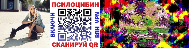 Купить  Отрадный  Псилоцибиновые грибы Psilocybe 