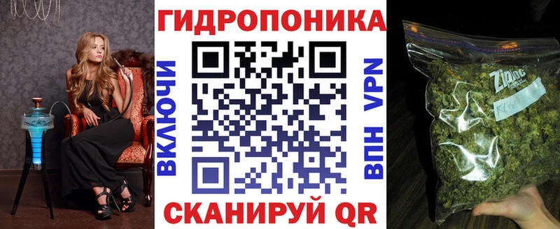 Купить где  Отрадный  Бошки Шишки THC 21% 